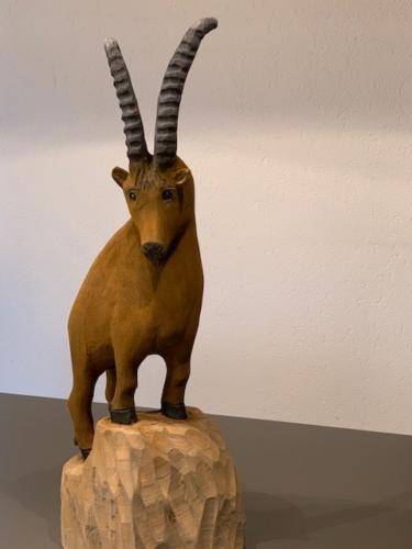 Steinbock1