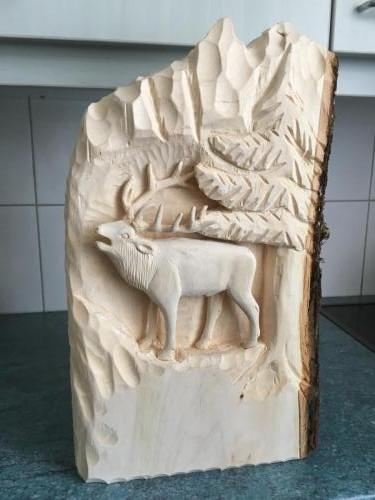 Hirsch an Felswand