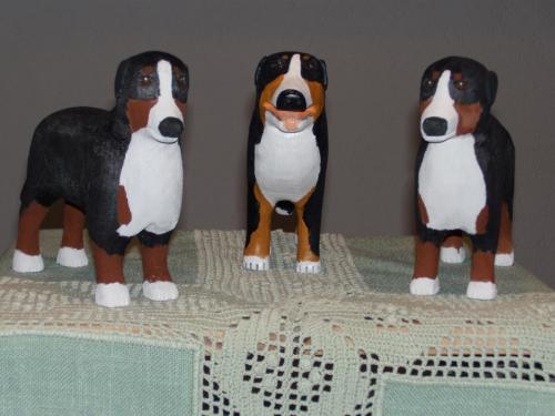 Berner Sennenhunde